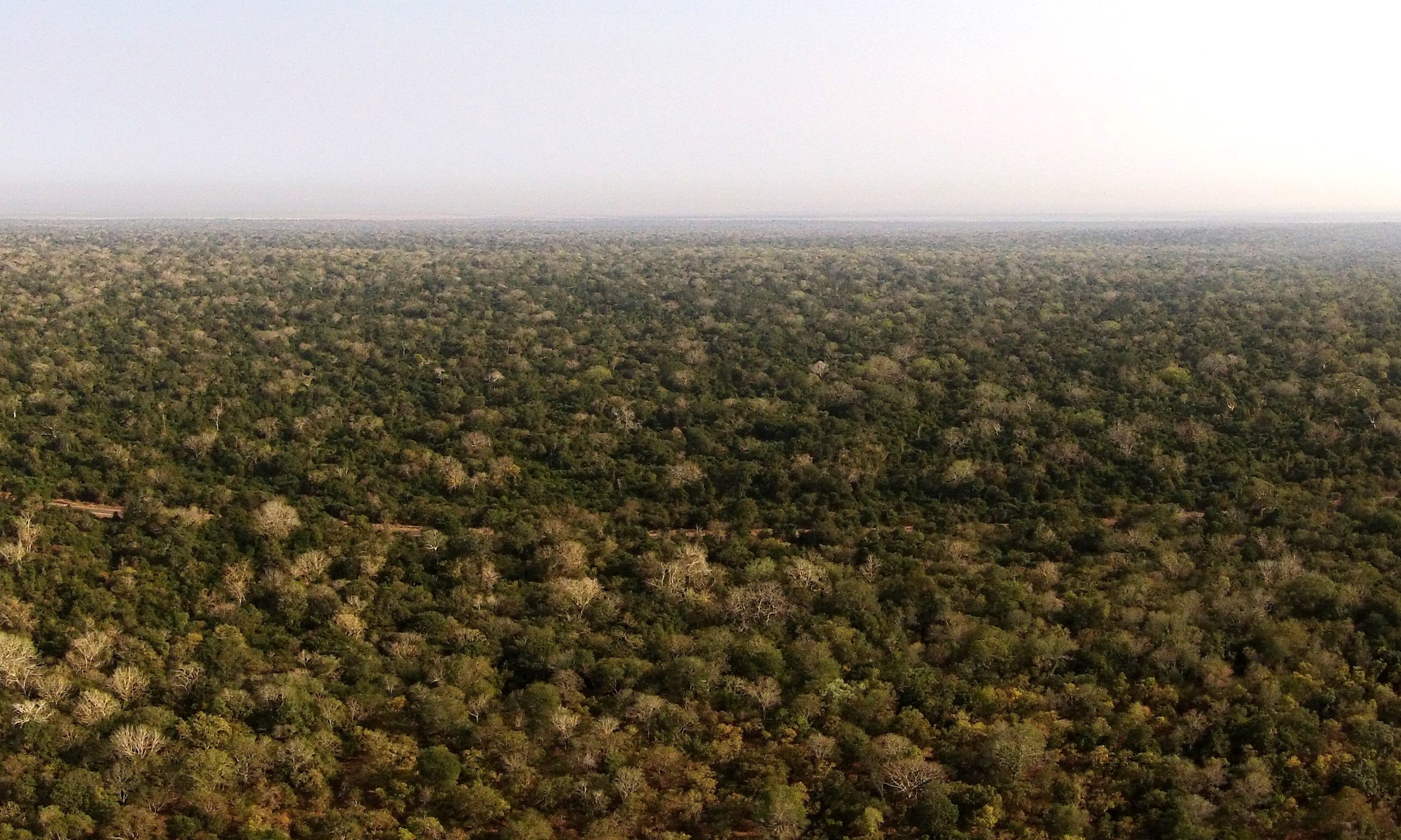DJI00302.JPG