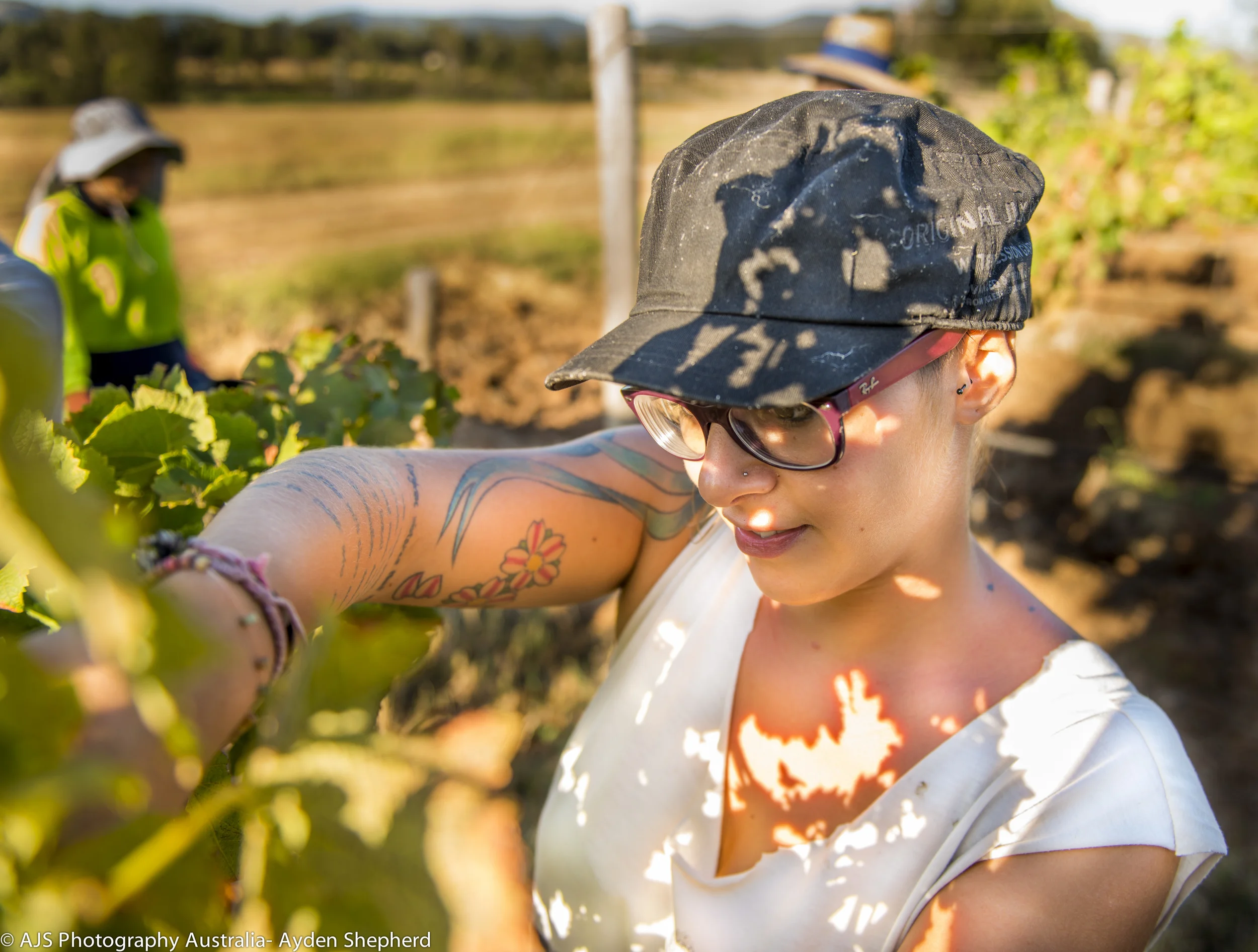 DSC_3501AJS Photography Australia- Ayden Shepherd.jpg