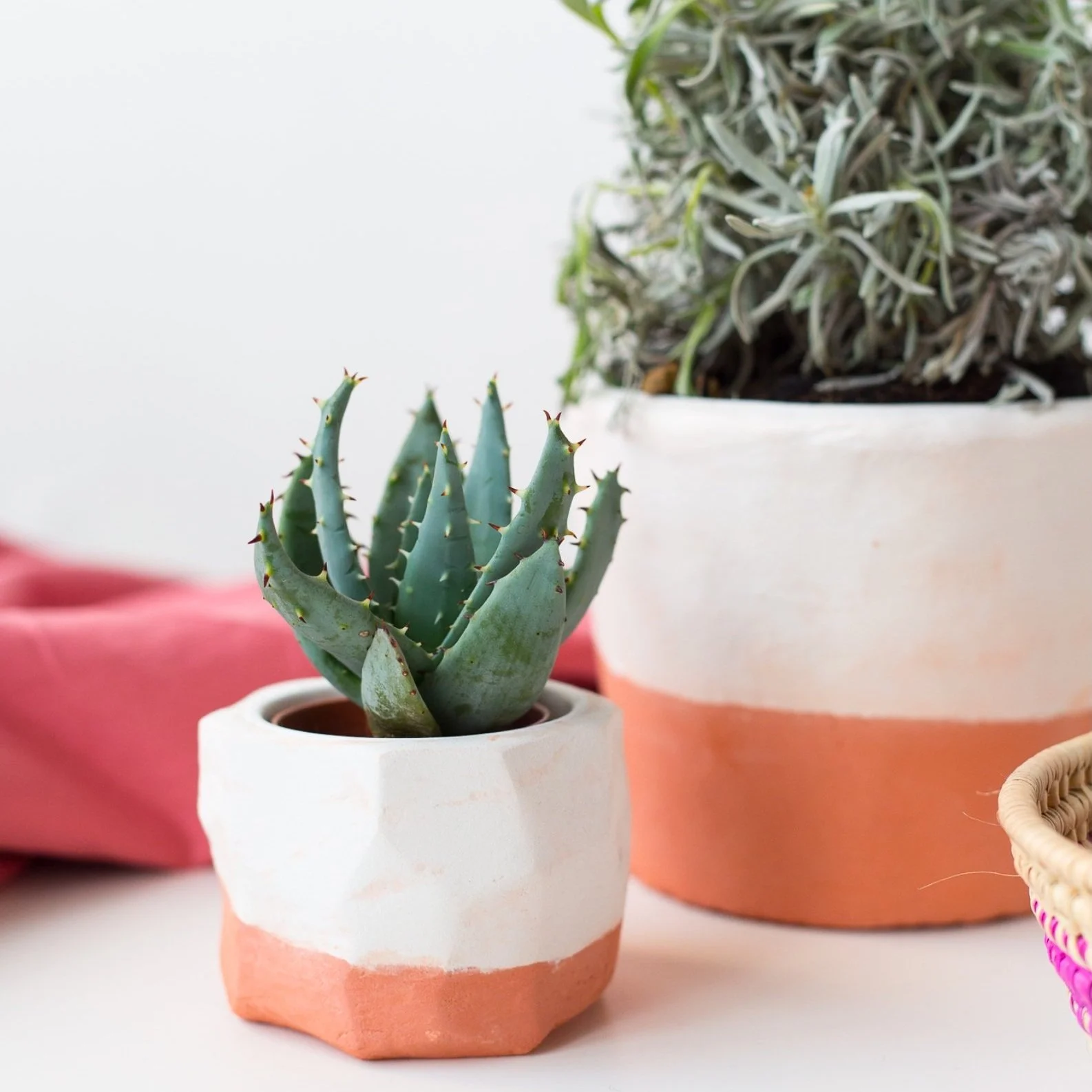 DIY Clay Cocktail Garden Planters