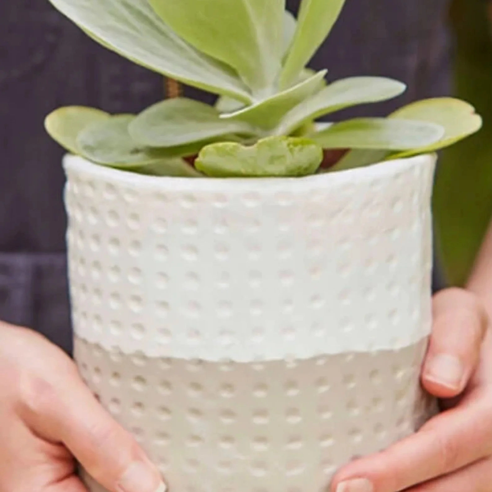 Air Dry Clay Textured Plant Pot