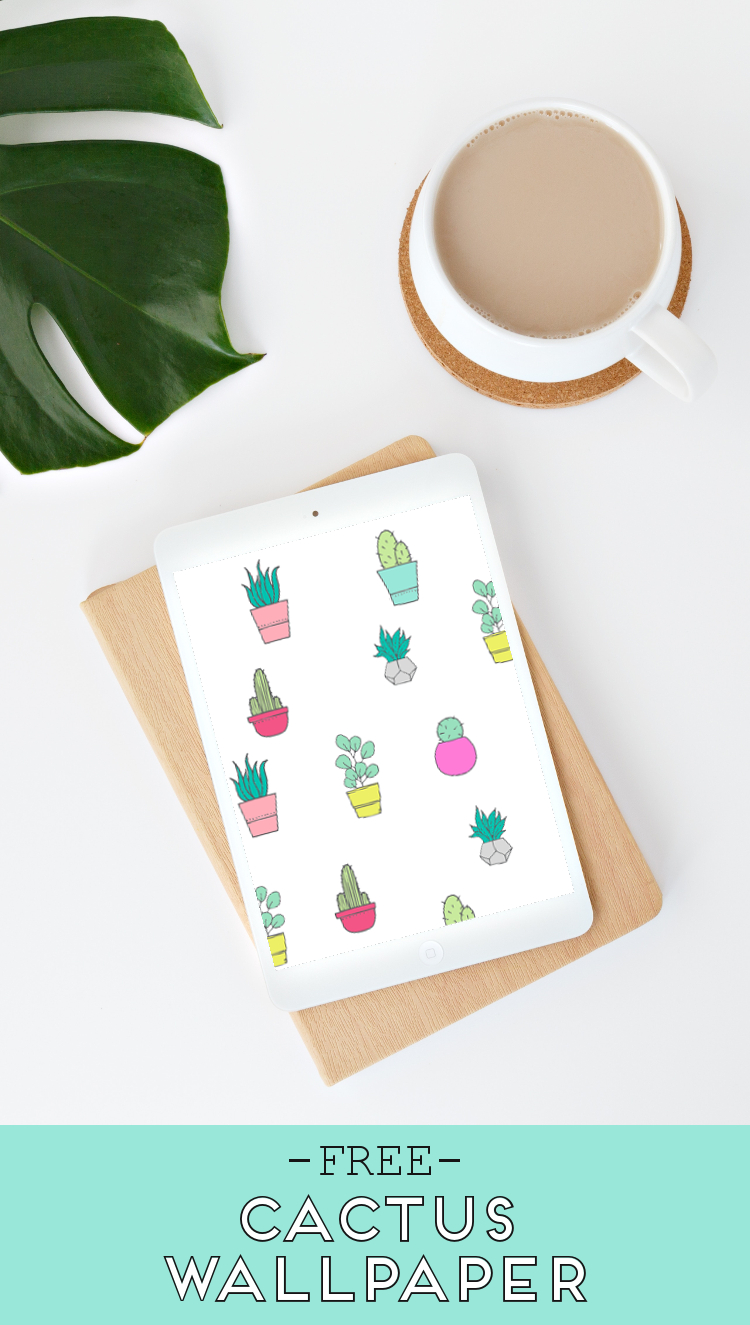 FREE CACTUS AND SUCCULENT WALLPAPERS FOR YOUR DESKTOP, TABLET AND PHONE. — Gathering Beauty FREE CACTUS AND SUCCULENT WALLPAPERS FOR YOUR DESKTOP, TABLET AND PHONE. — Gathering Beauty