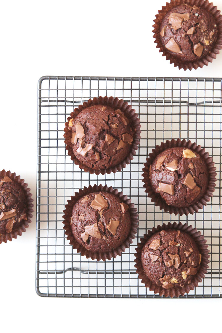 Double Chocolate Muffins