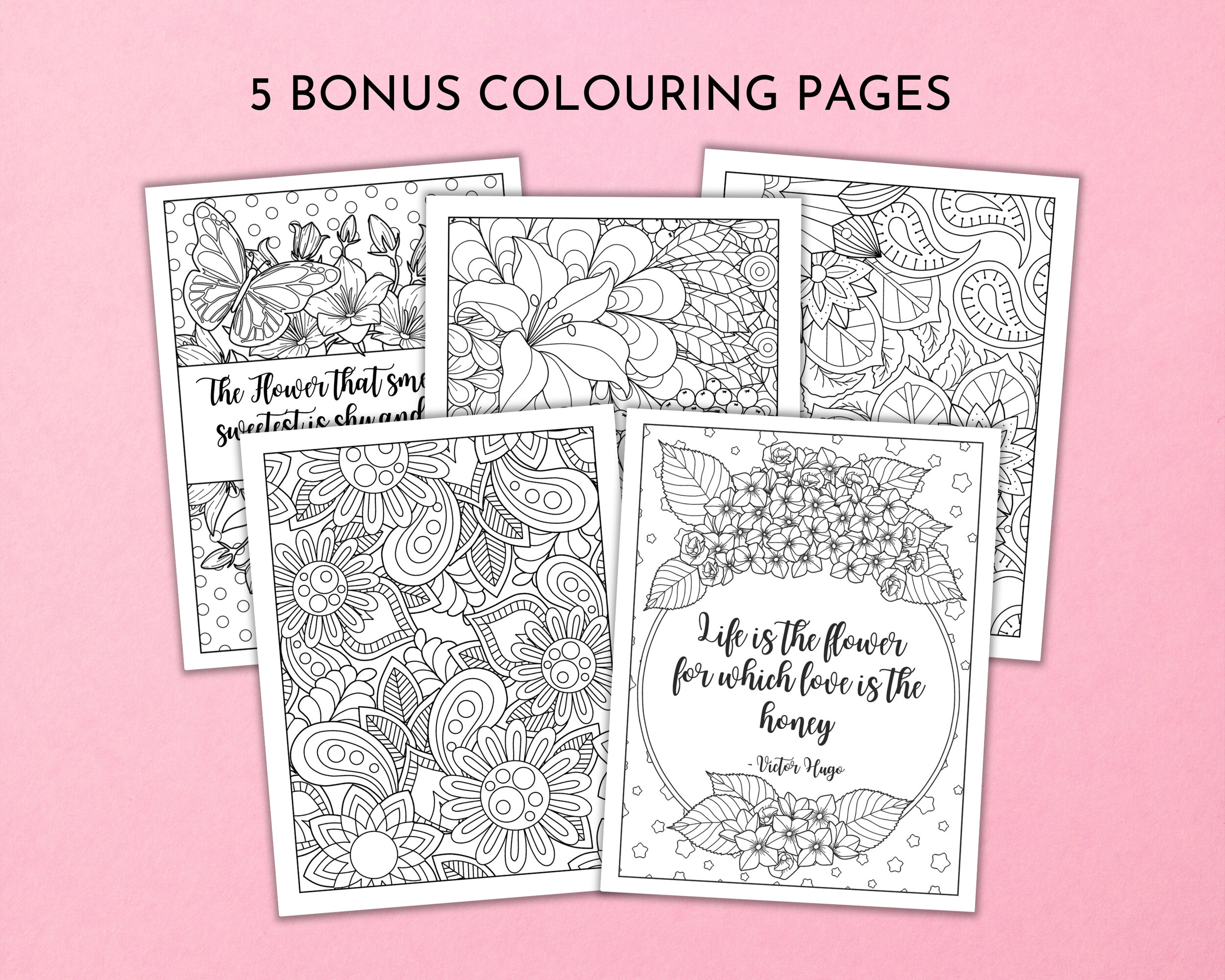 floral colouring pages.jpg