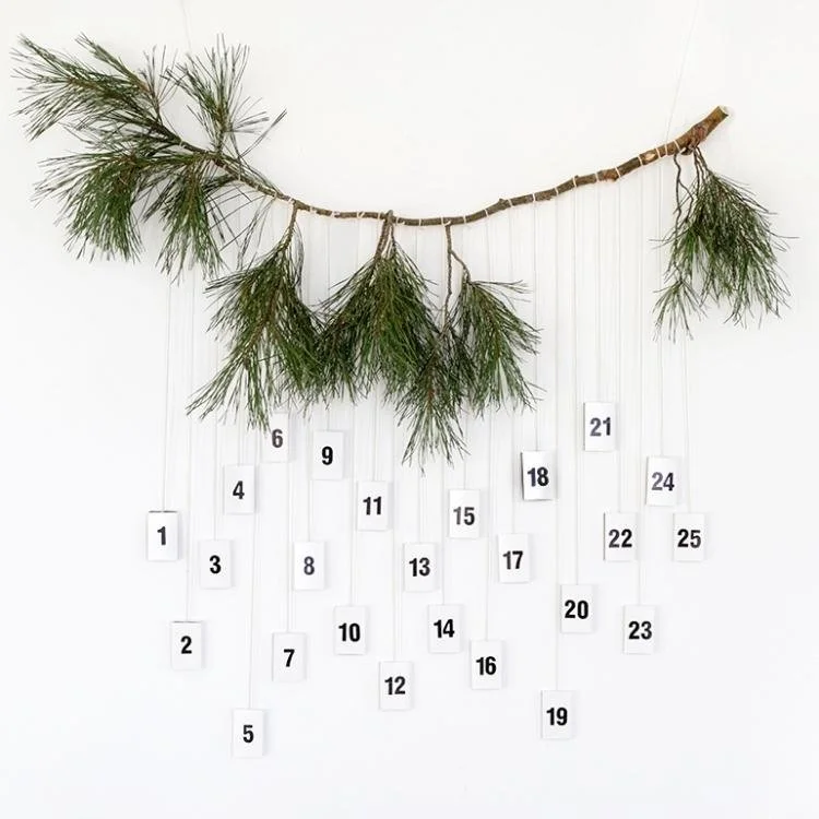 numbered boxes hanging from tree branch
