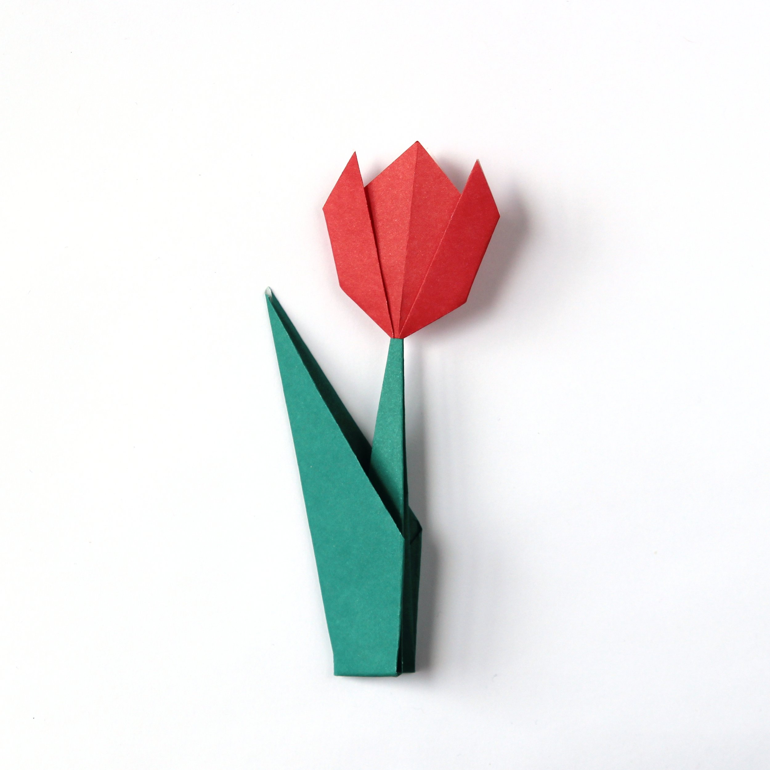 How to make an Origami paper tulip with stem and leaf