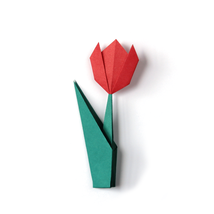 Origami tulip with red flower head and green stem.