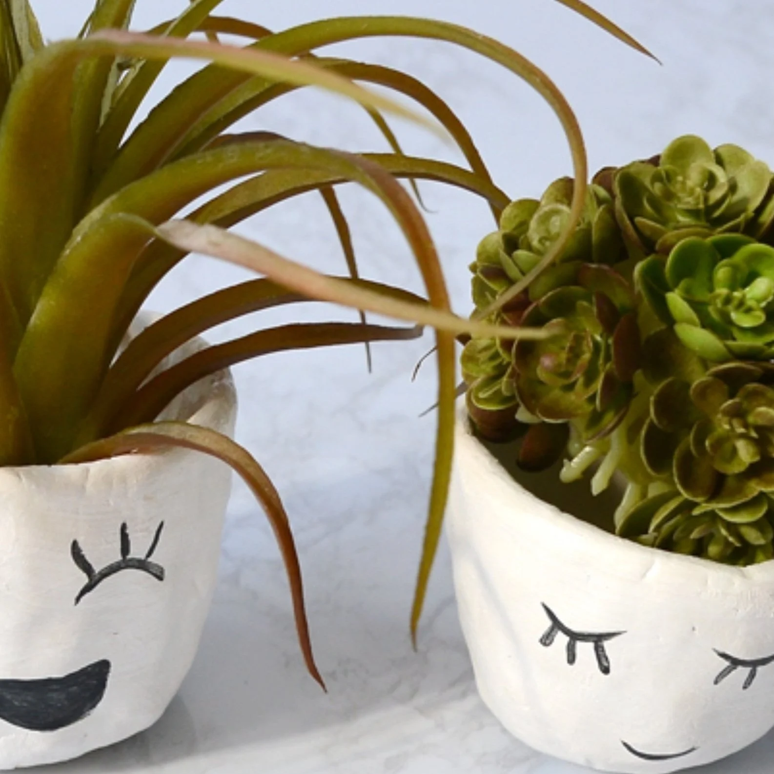 DIY Air Dry Clay Mini Face Planters