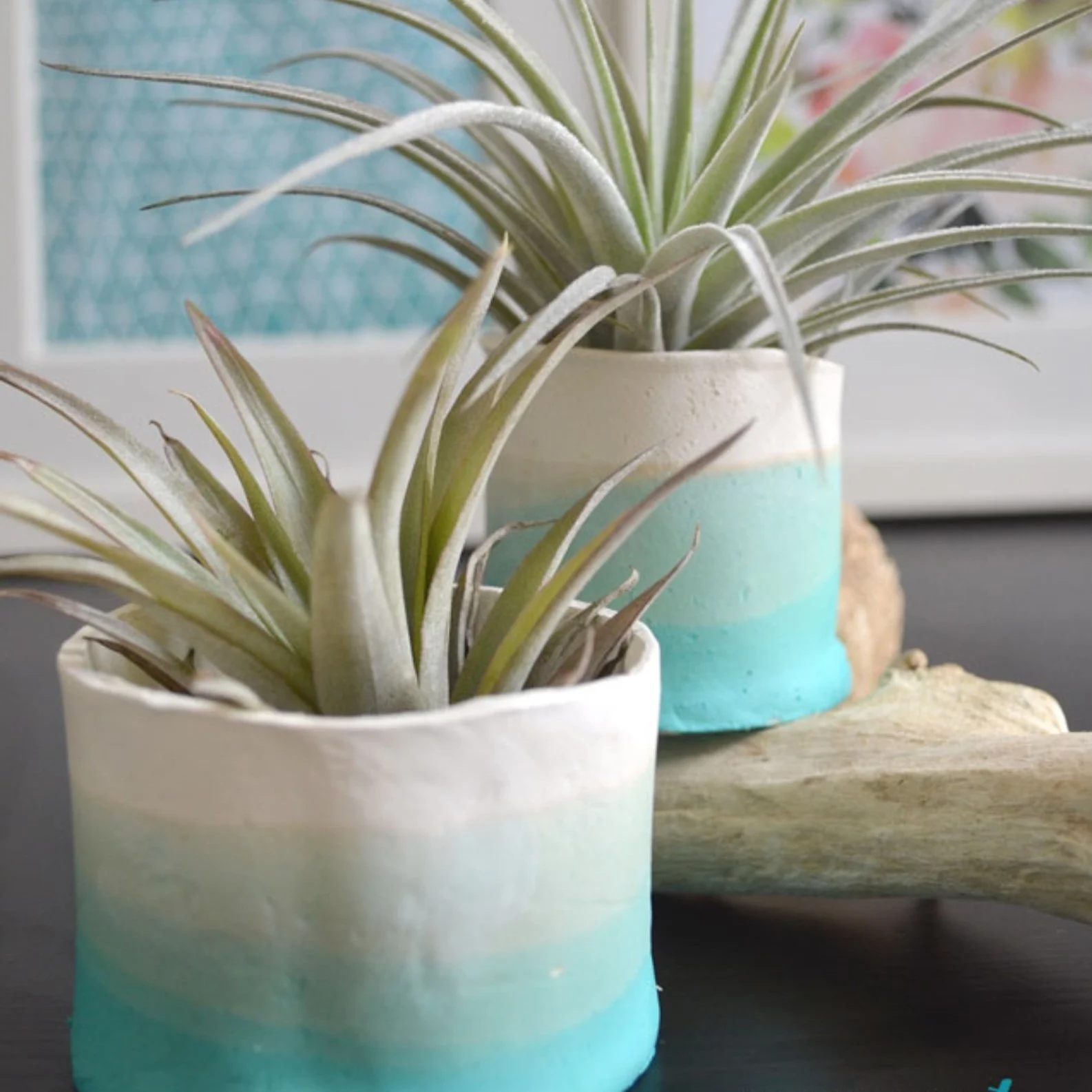 Ombre Clay Pots