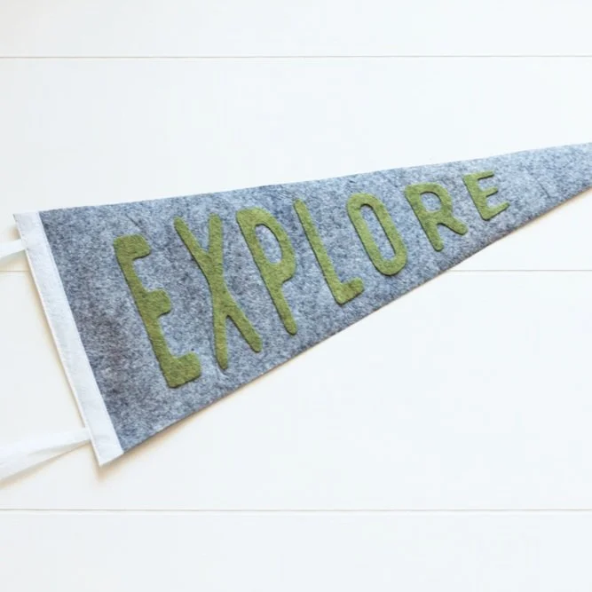 DIY Felt Pennant Flag Using Silhouette