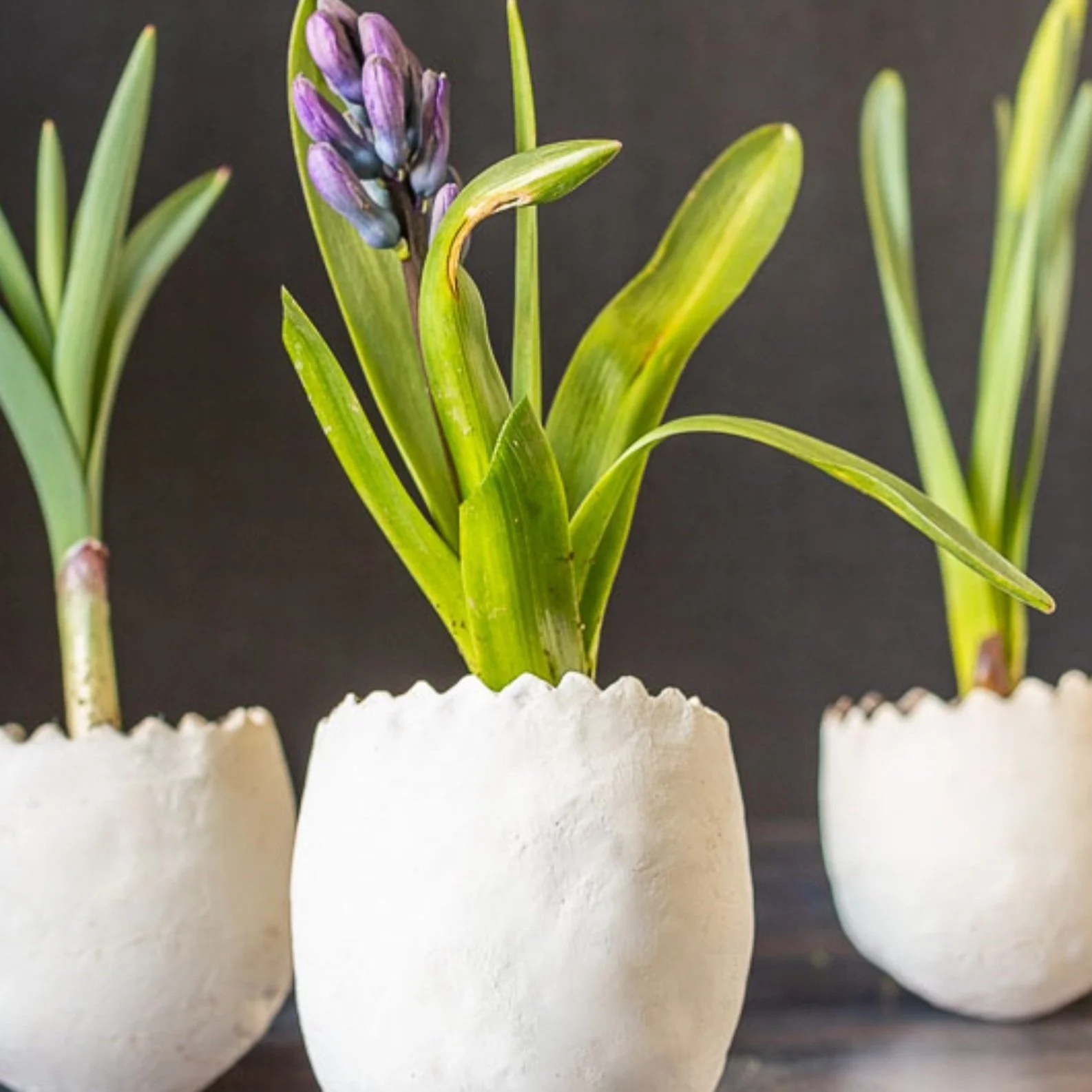 DIY Easter Egg Planters