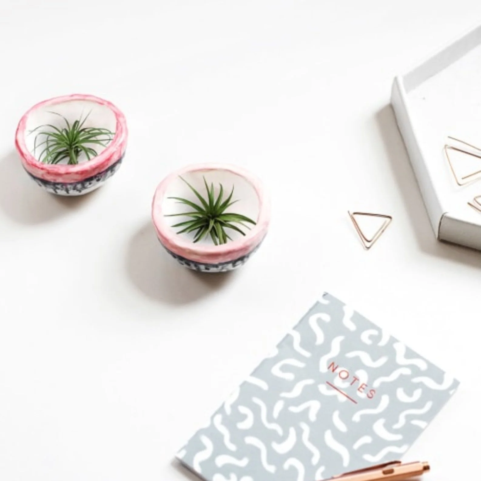 Mini DIY Plant Pots