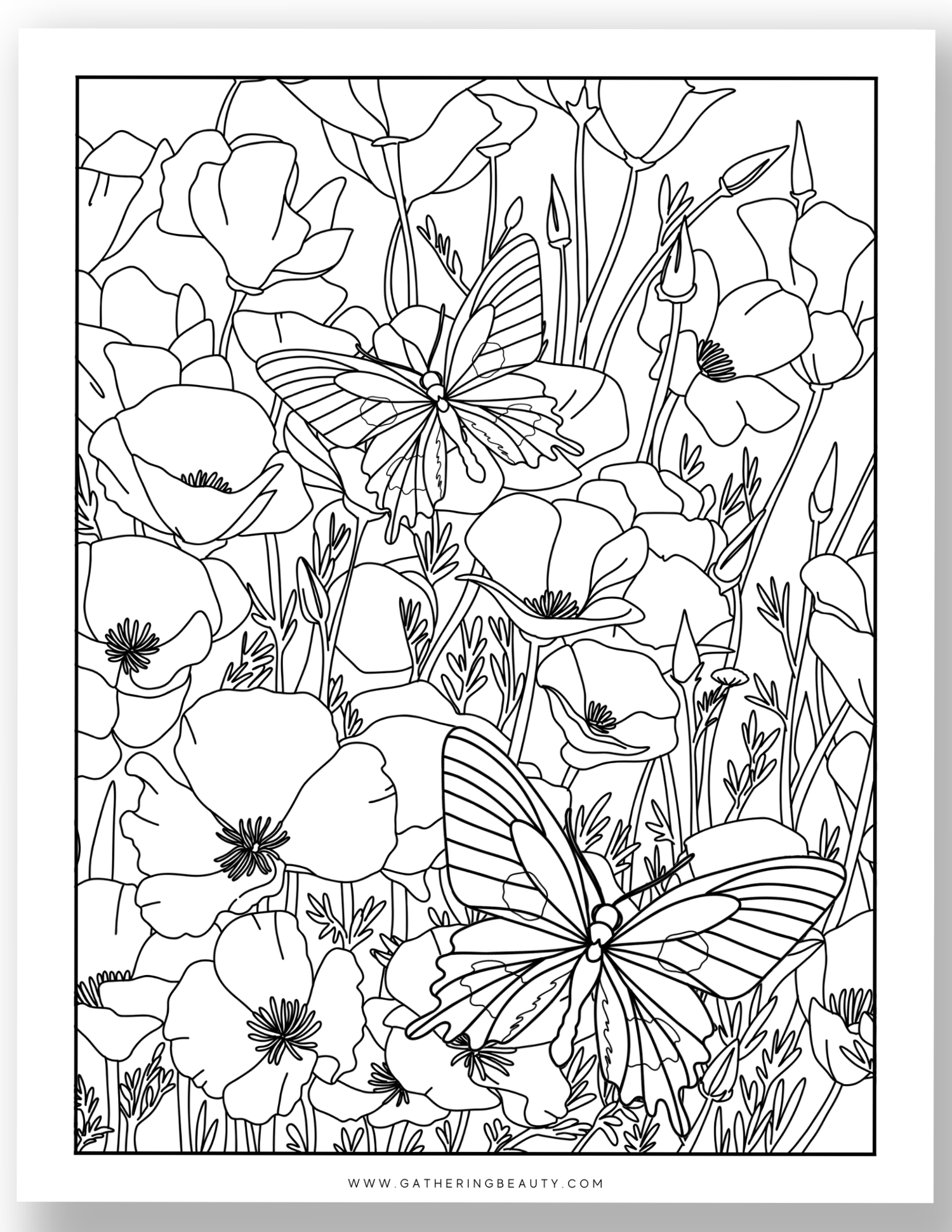 Butterfly And Flowers Colouring Pages - Free Printable — Gathering Beauty