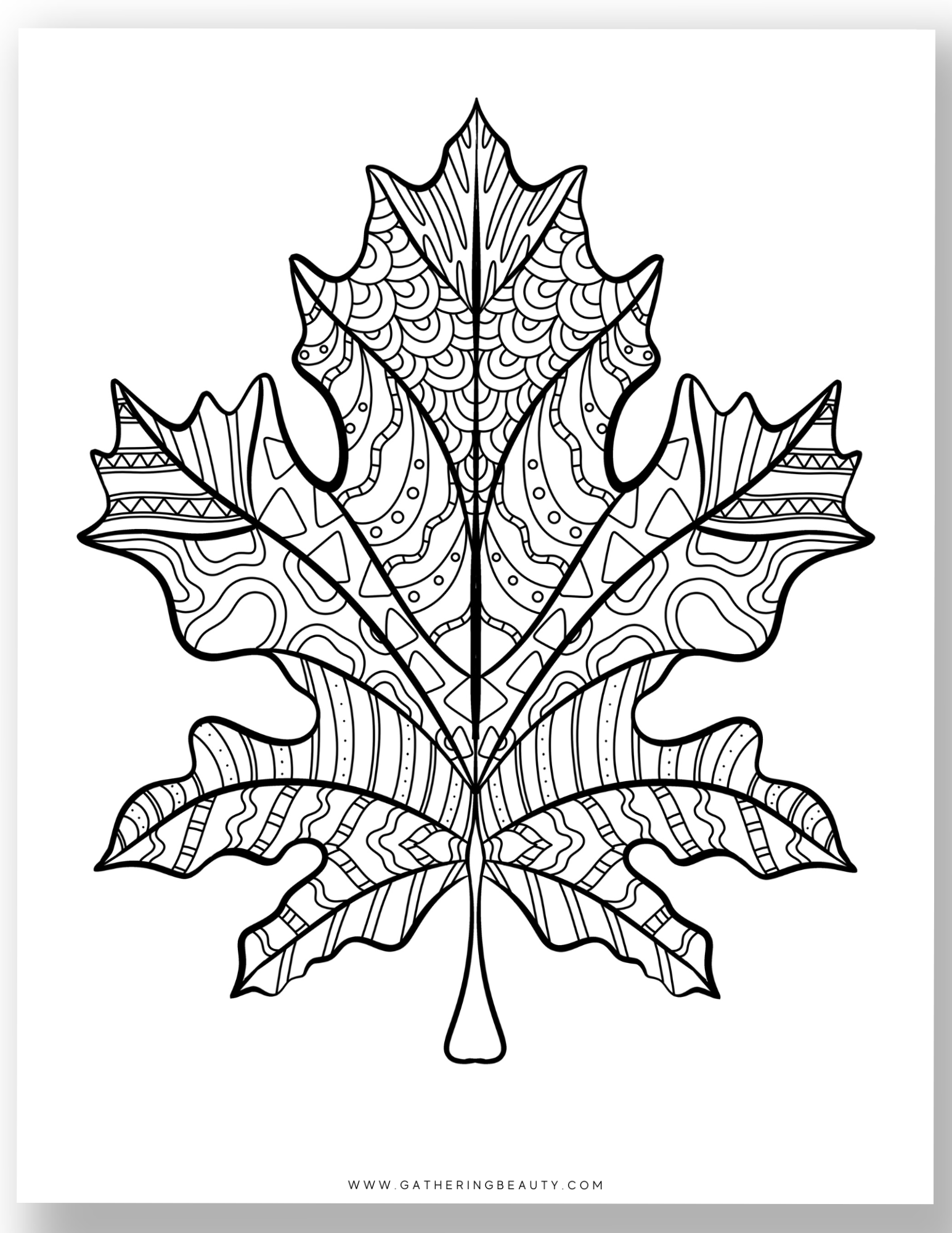 Free Fall Colouring Pages For Adults — Gathering Beauty