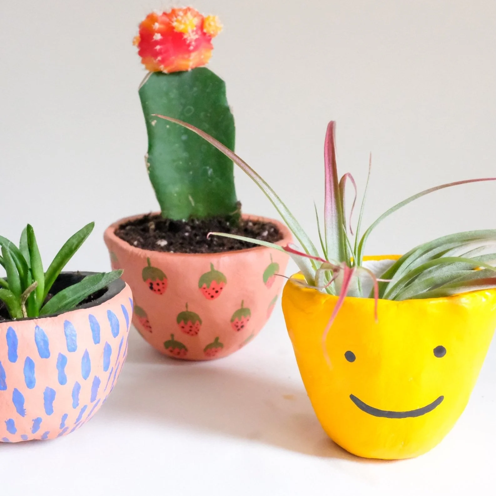 DIY Hand Painted Pinch Pot Planters