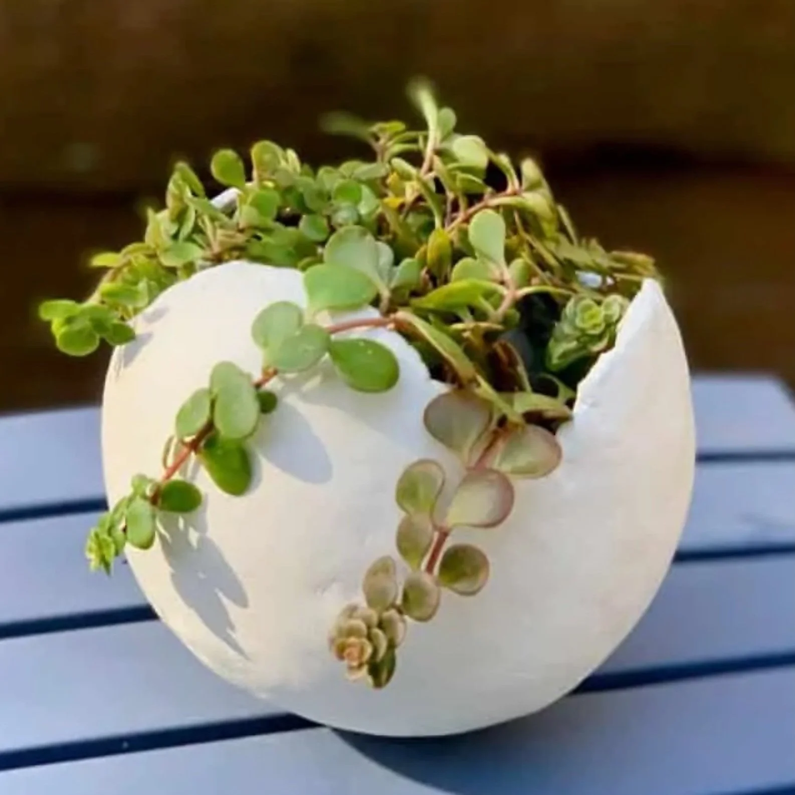 DIY Clay Balloon Planter