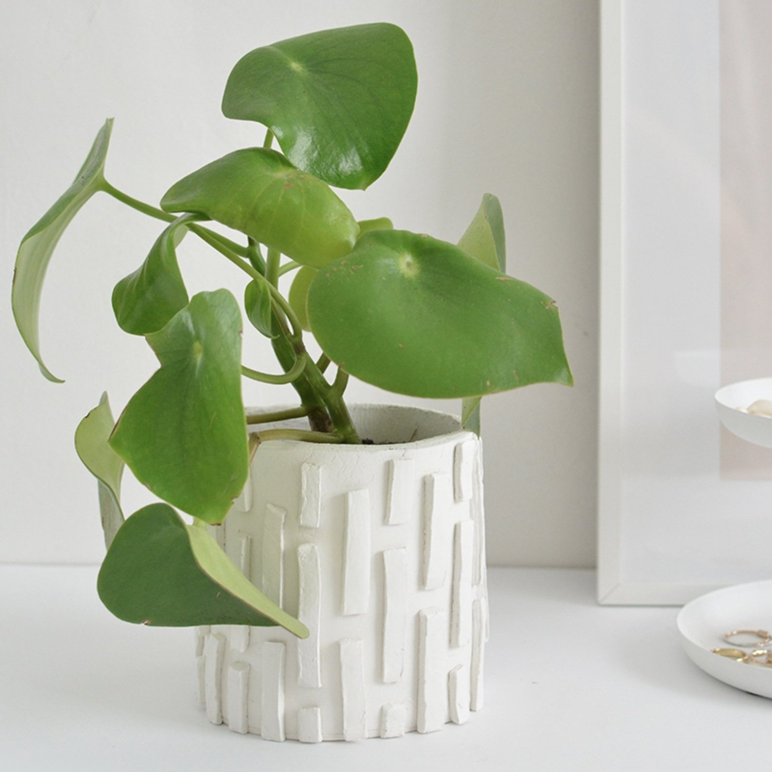DIY Textured Clay Planter