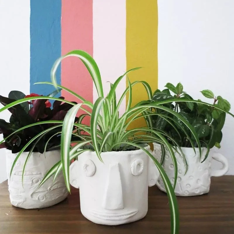 Recycle a Plastic Container Into a Cute Clay Planter