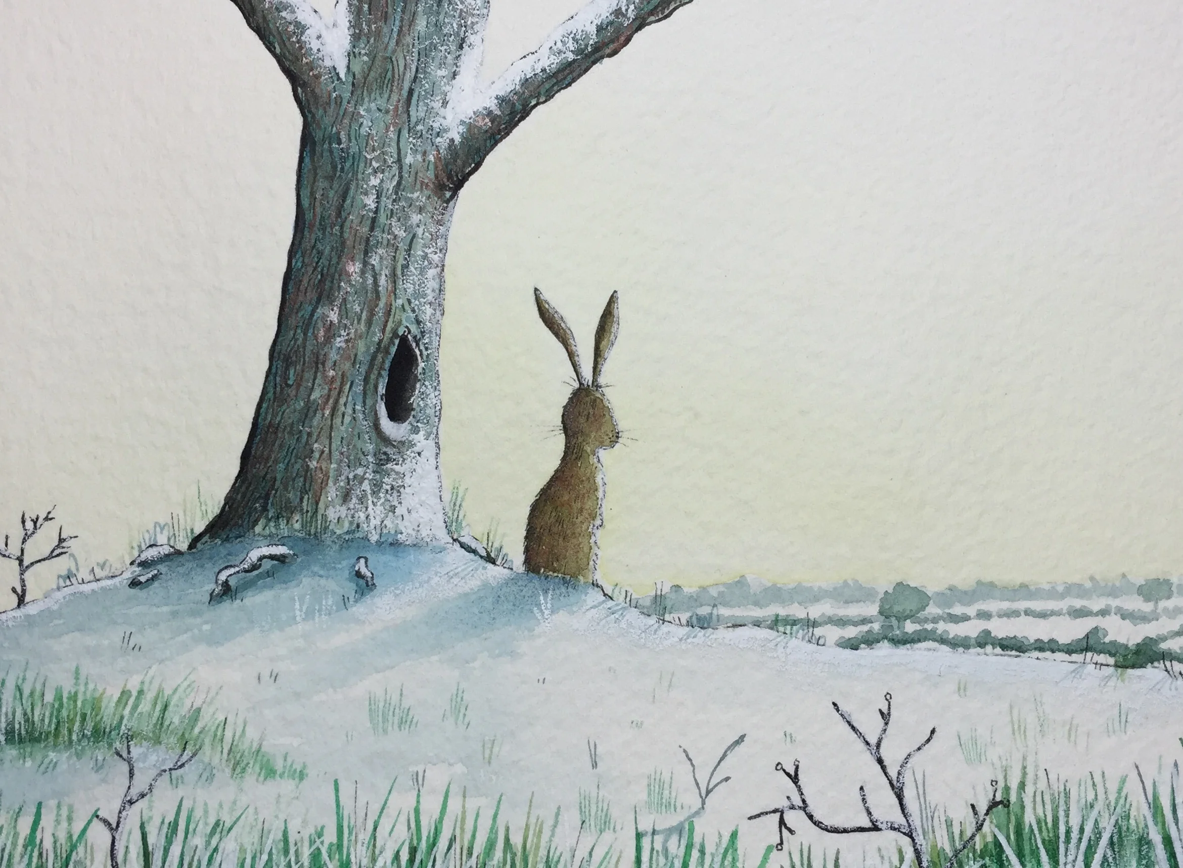 Hare in Snow