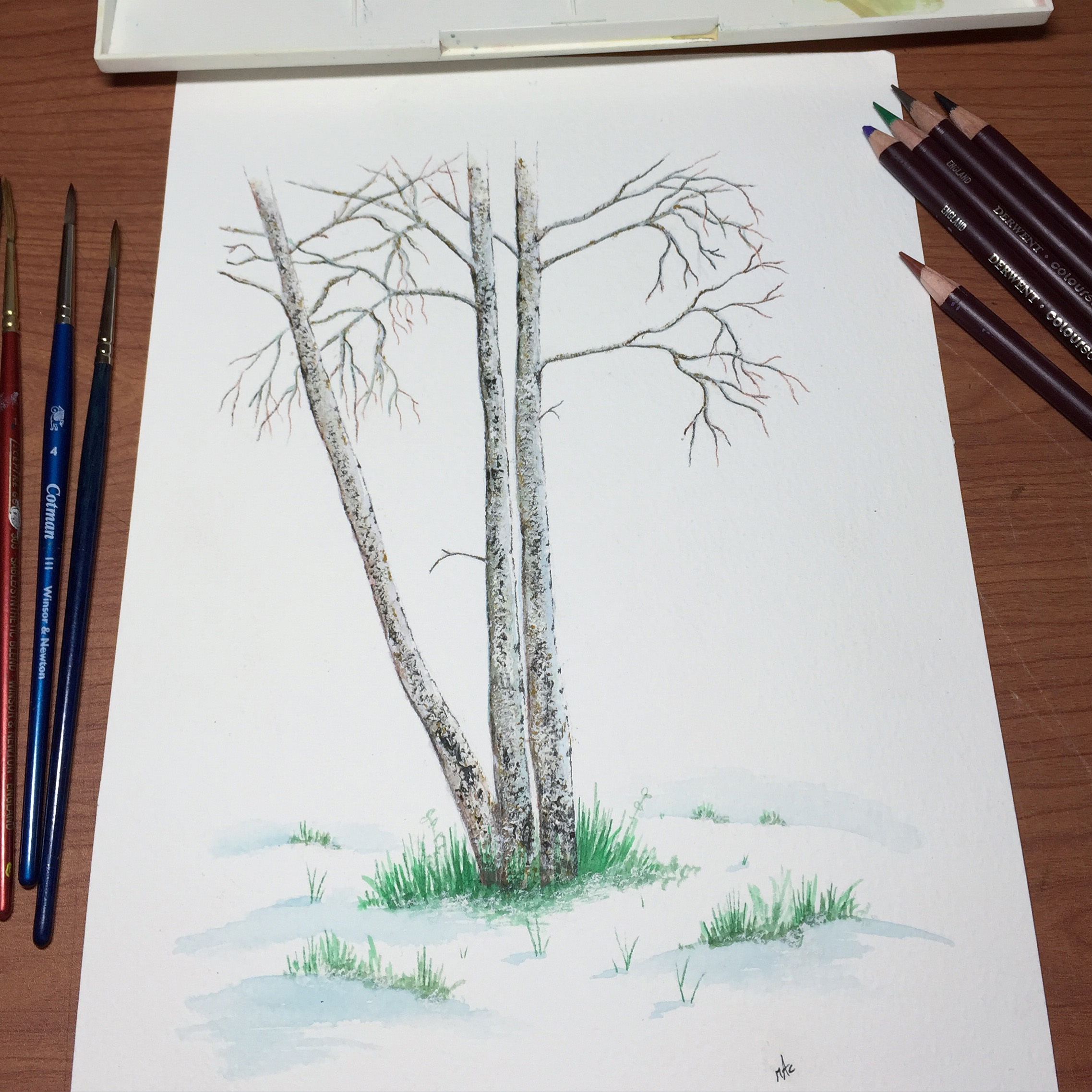 Winter trees