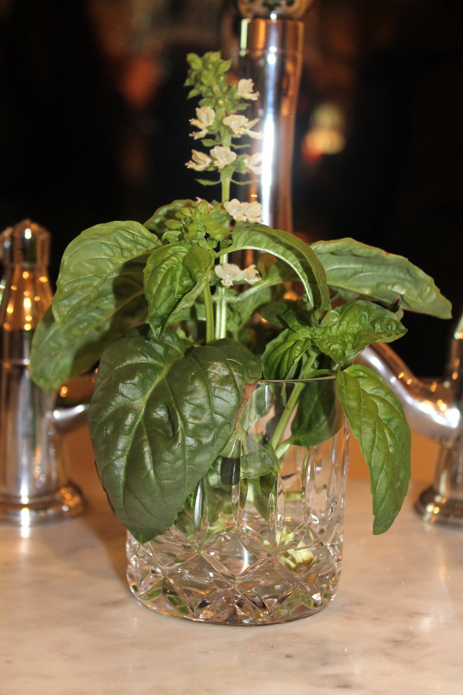 A Warming Winter Dinner Party - Image via Jessica Gordon Ryan