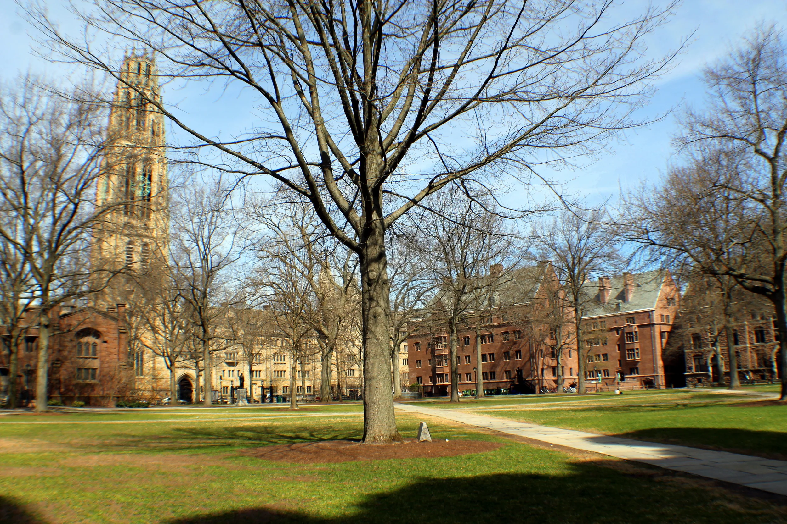 Yale University, Memorial Quadrangle, Old Campus. Image property of Jessica Gordon Ryan