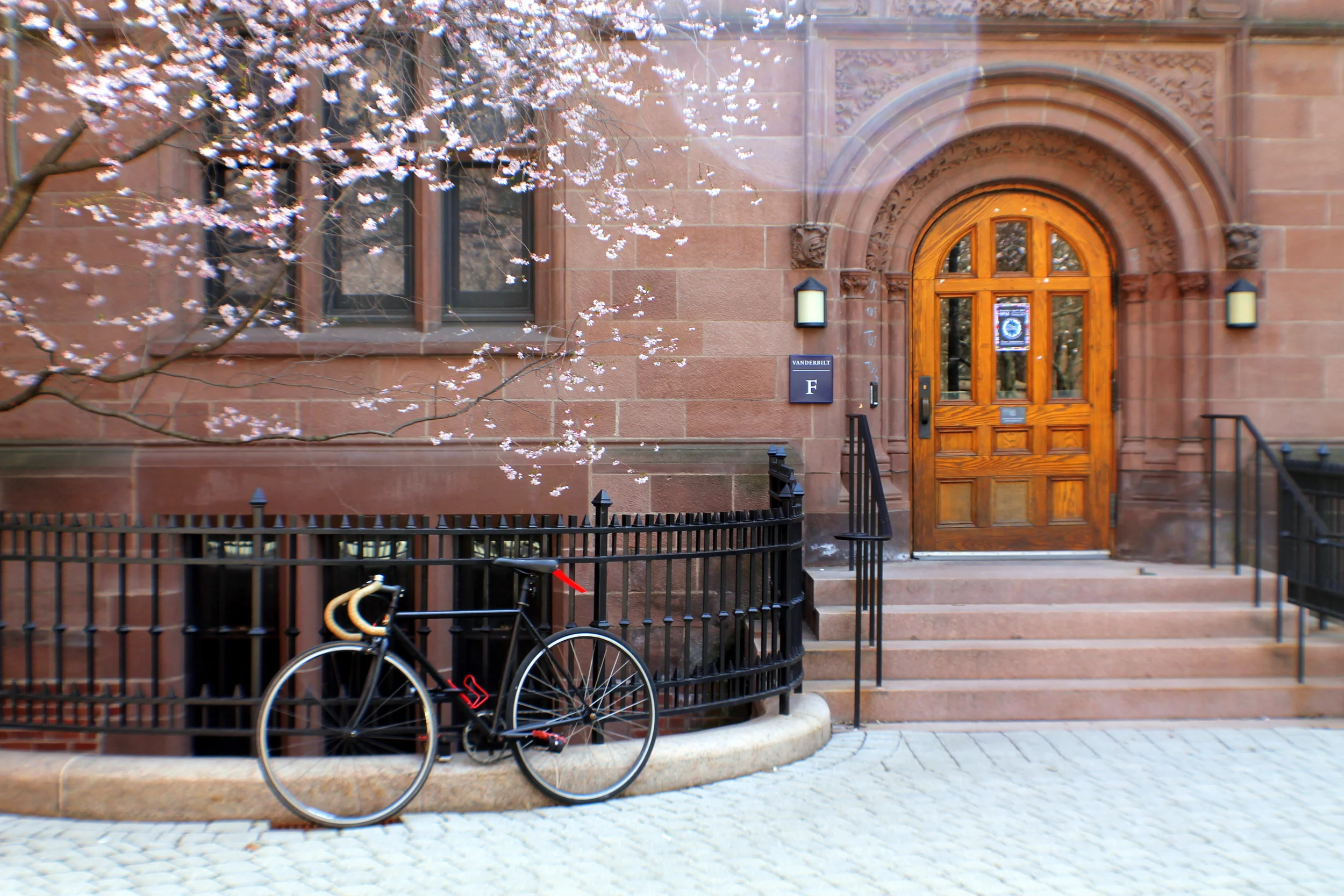 Yale University . Vanderbilt Hall quad. I mage property Jessica Gordon Ryan