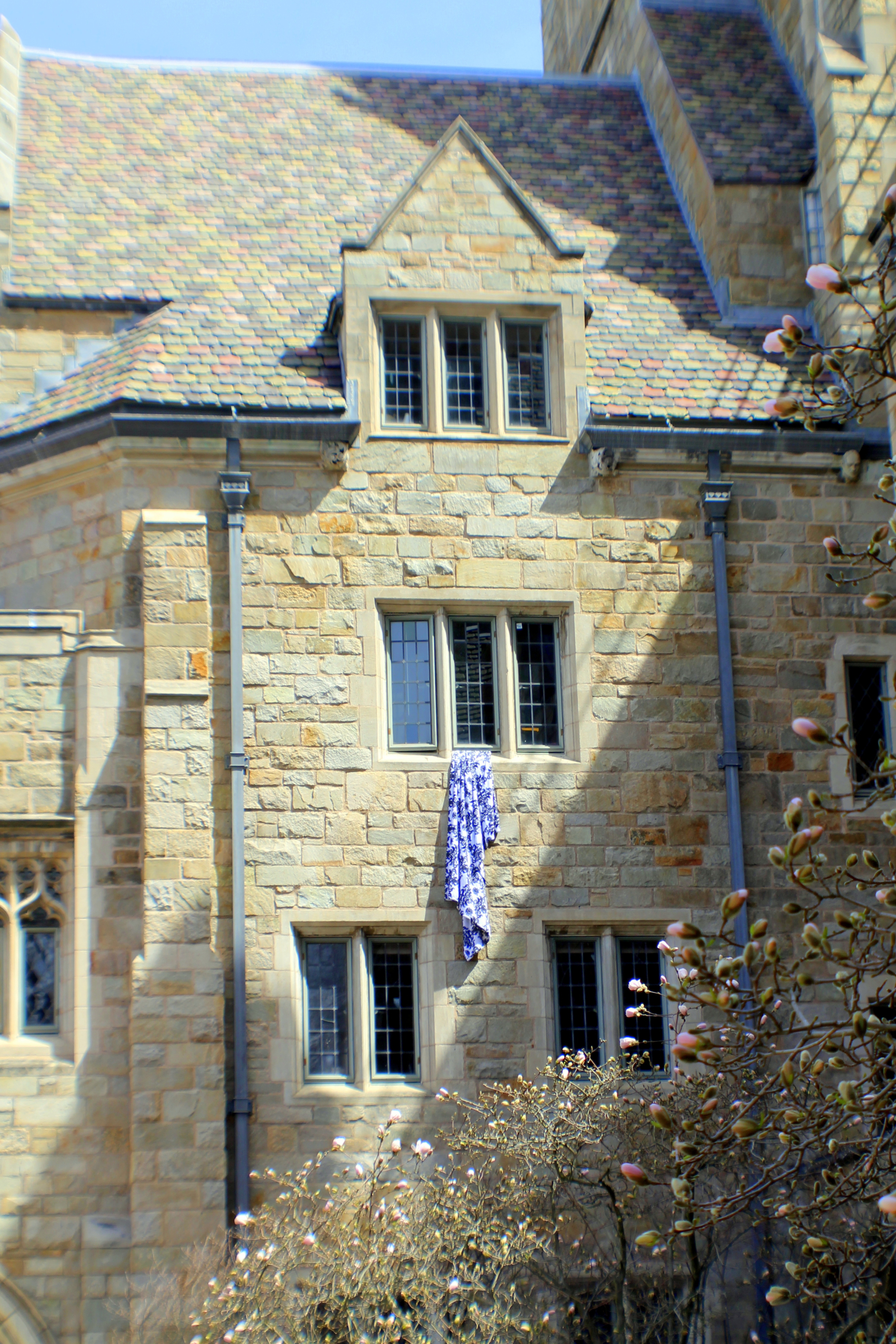 Architectural detail, Bran ford College, Yale University. Image Jessi ca Gordon Ryan