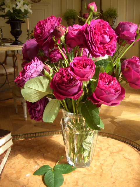 Roses from Bettie Bearden Pardee's gardens