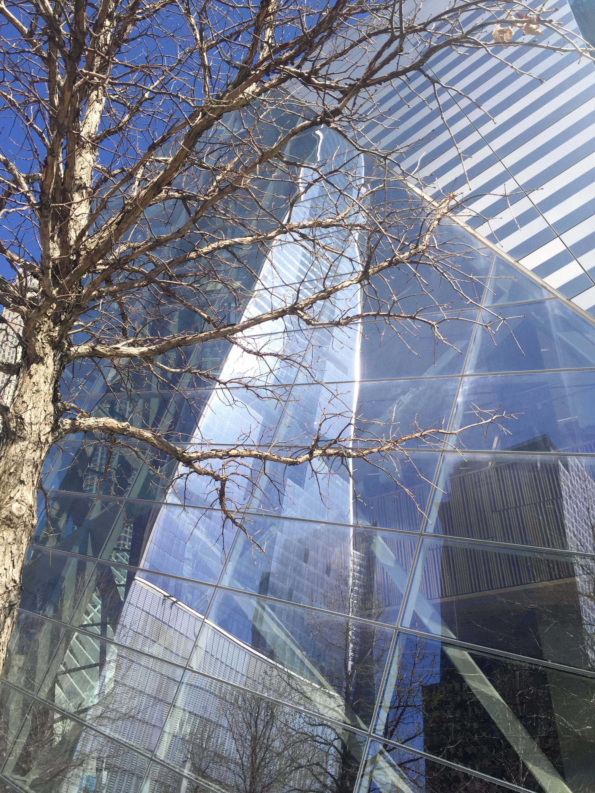 The 9/11 Museum and Memorial. All photographs property of The Entertaining House/Jessica Gordon Ryan