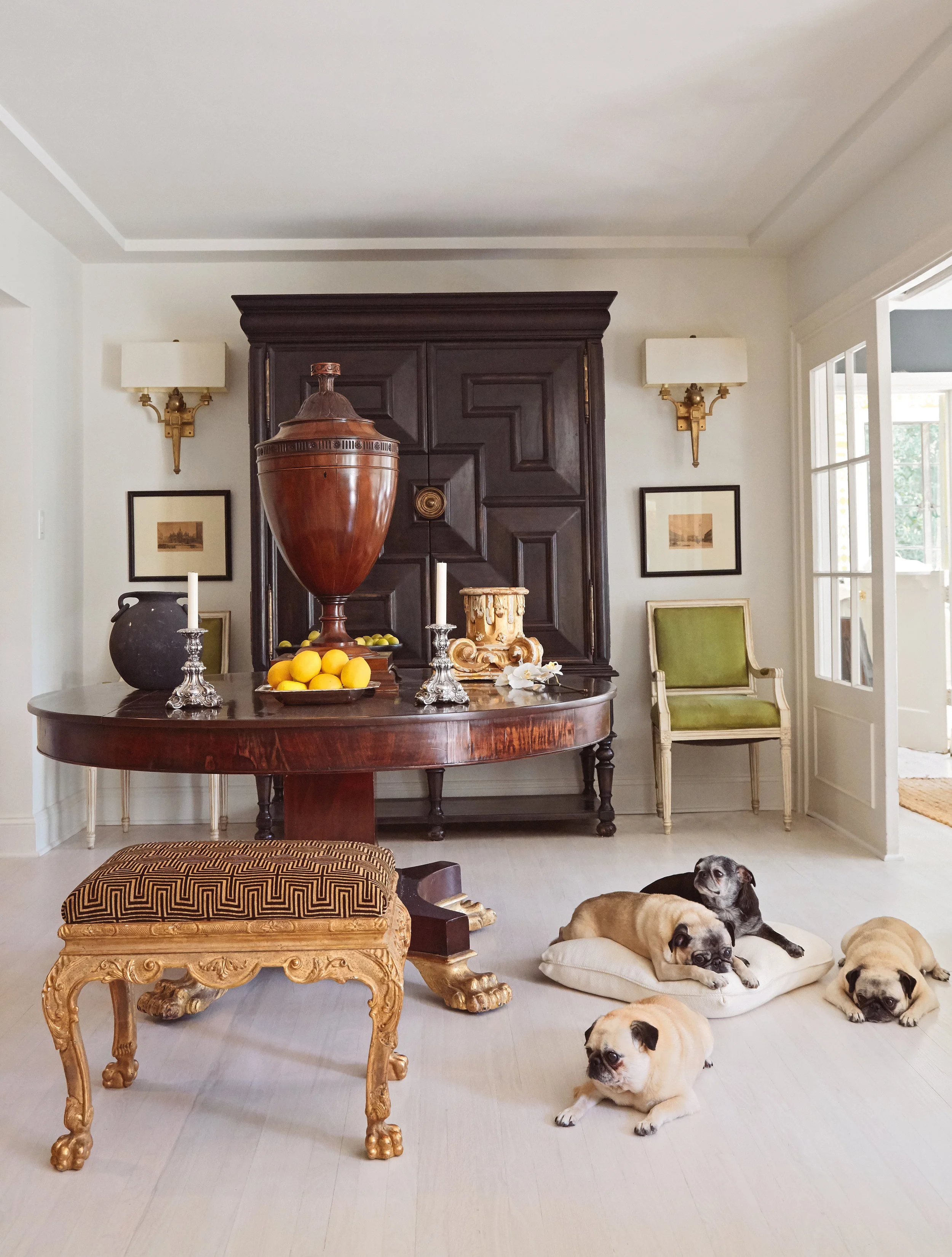 At Home with Dogs and their Designers, Sharing a Stylish Life — The