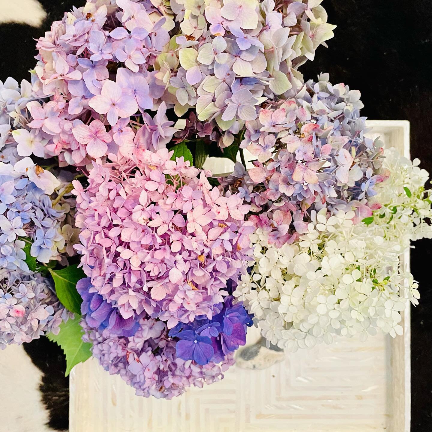 Ending my long weekend on a perfect note&hellip; 💜hydrangea and heart shaped rocks 💜

Thank you @corsairflair for an incredible and much needed mini vacation and to @cathygruhn for these stunning 🌸