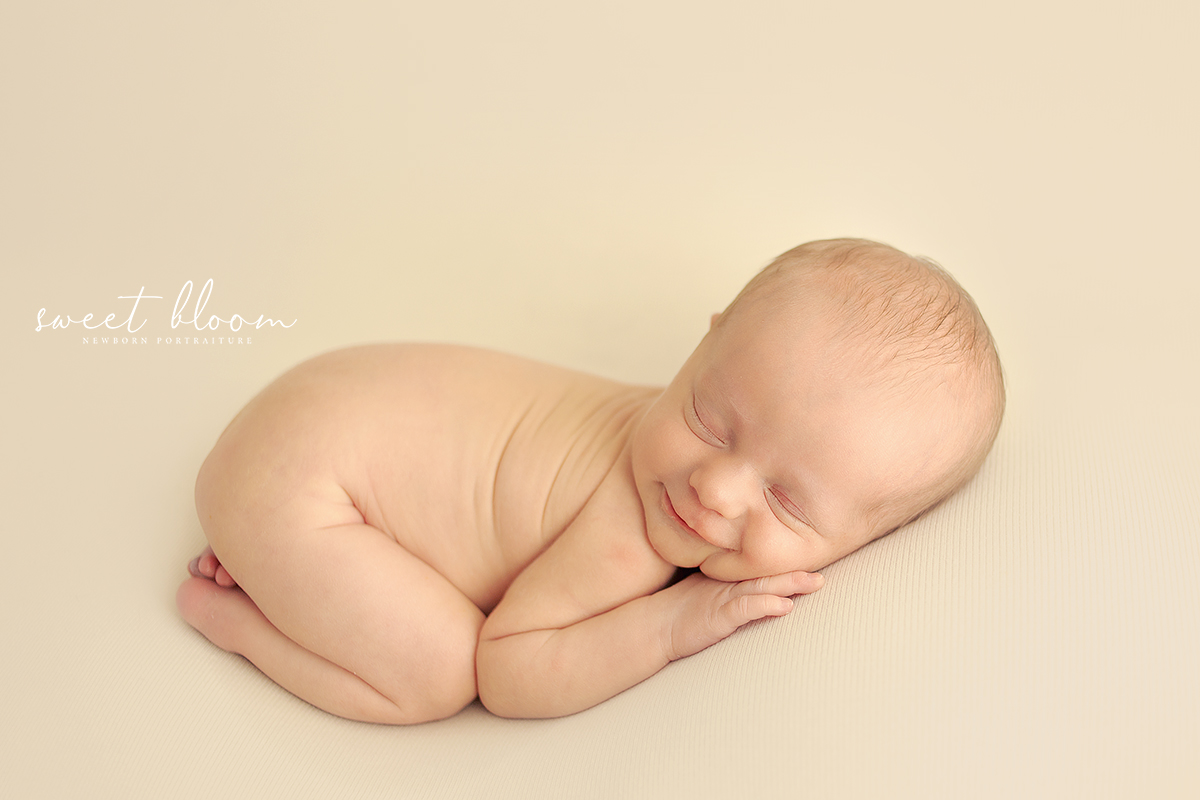 Toledo Ohio Newborn Photographer.jpg