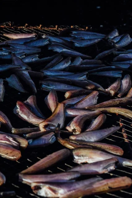 drying fish on truck.jpg