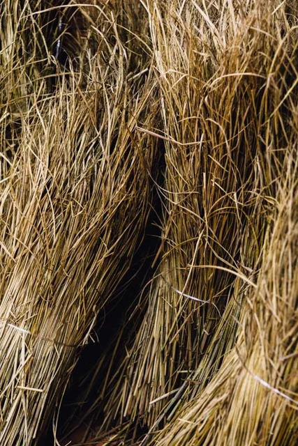 straw.jpg