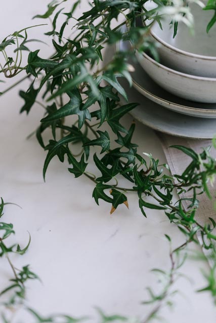 bowl stack with plant.jpg