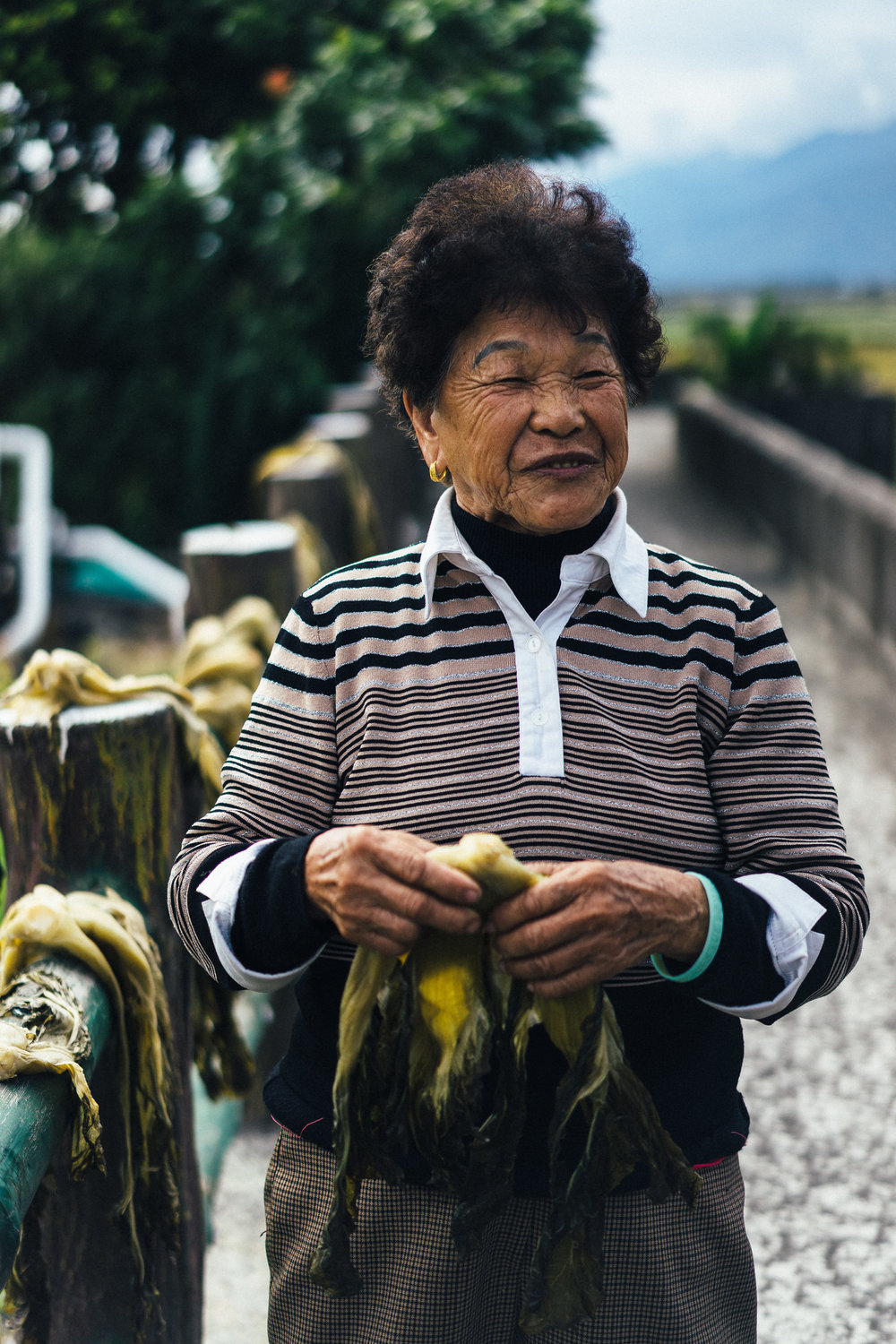 Mustard lady (vert).jpg