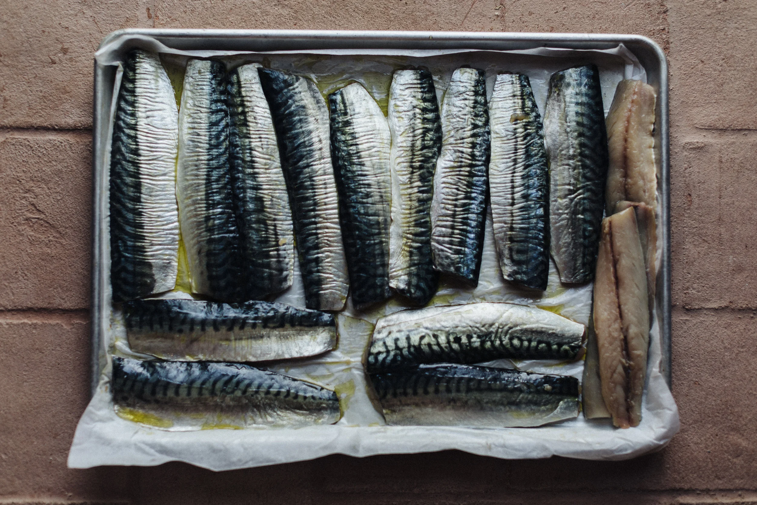 Mackerel.jpg
