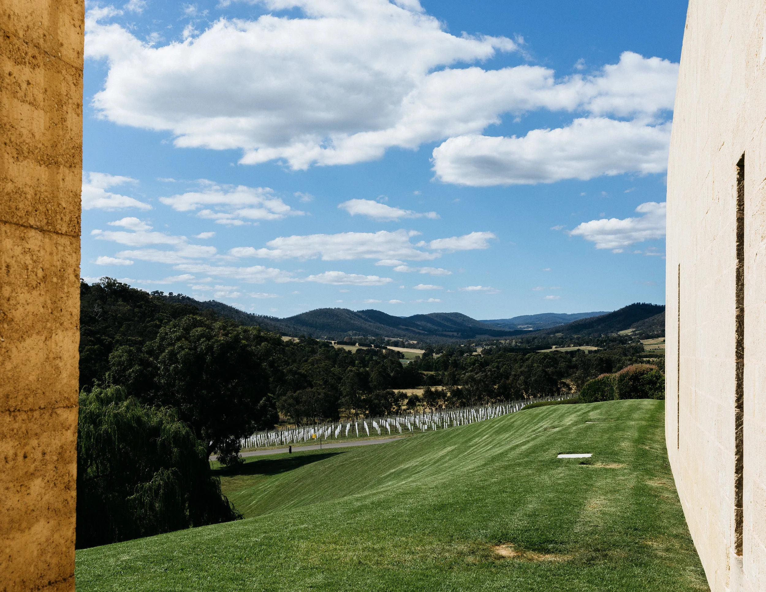Tarrawarra.jpg