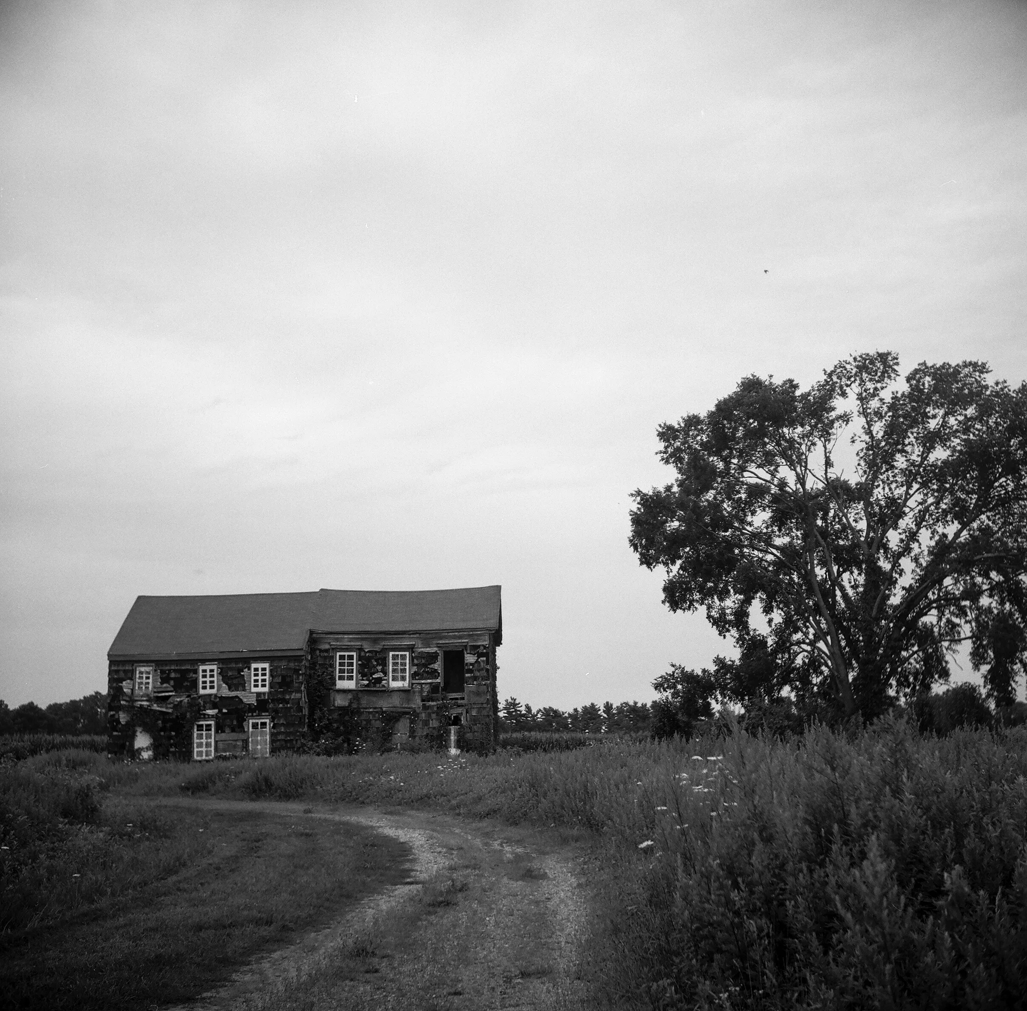 BryanS-7.jpg