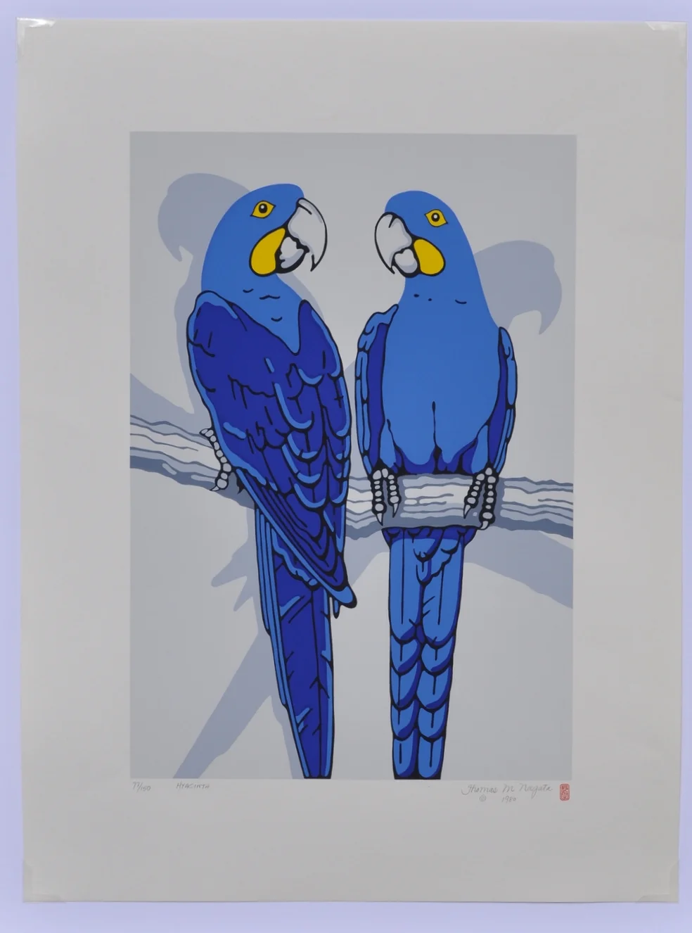 Hyacinth Macaws