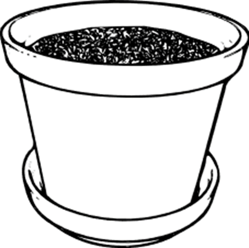 Plant Pot.png