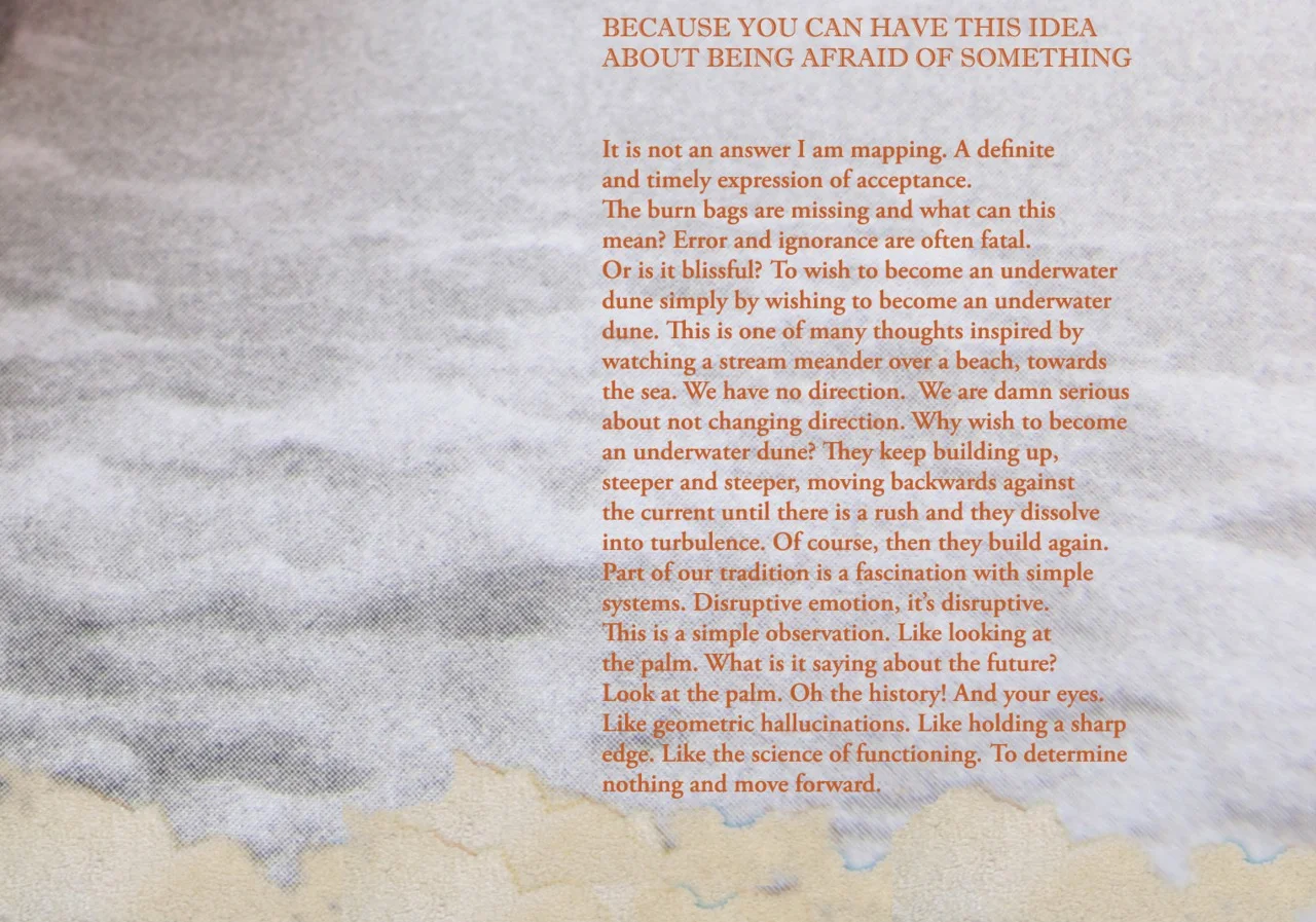 Emily Pettit is the author ofGoat in the Snow (Birds LLC, 2011) and two chapbooks: How (Octopus Books) and What Happened to Limbo (Pilot Books). She is an editor for notnostrums and Factory Hollow Press, as well as the publisher ofjubilat. She teach…