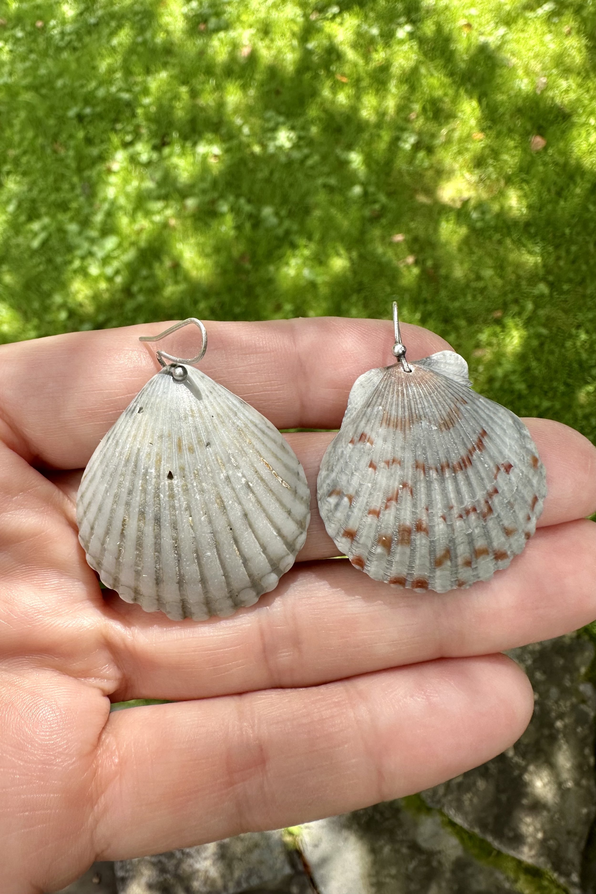 Big Grey Mismatched Shell Earrings