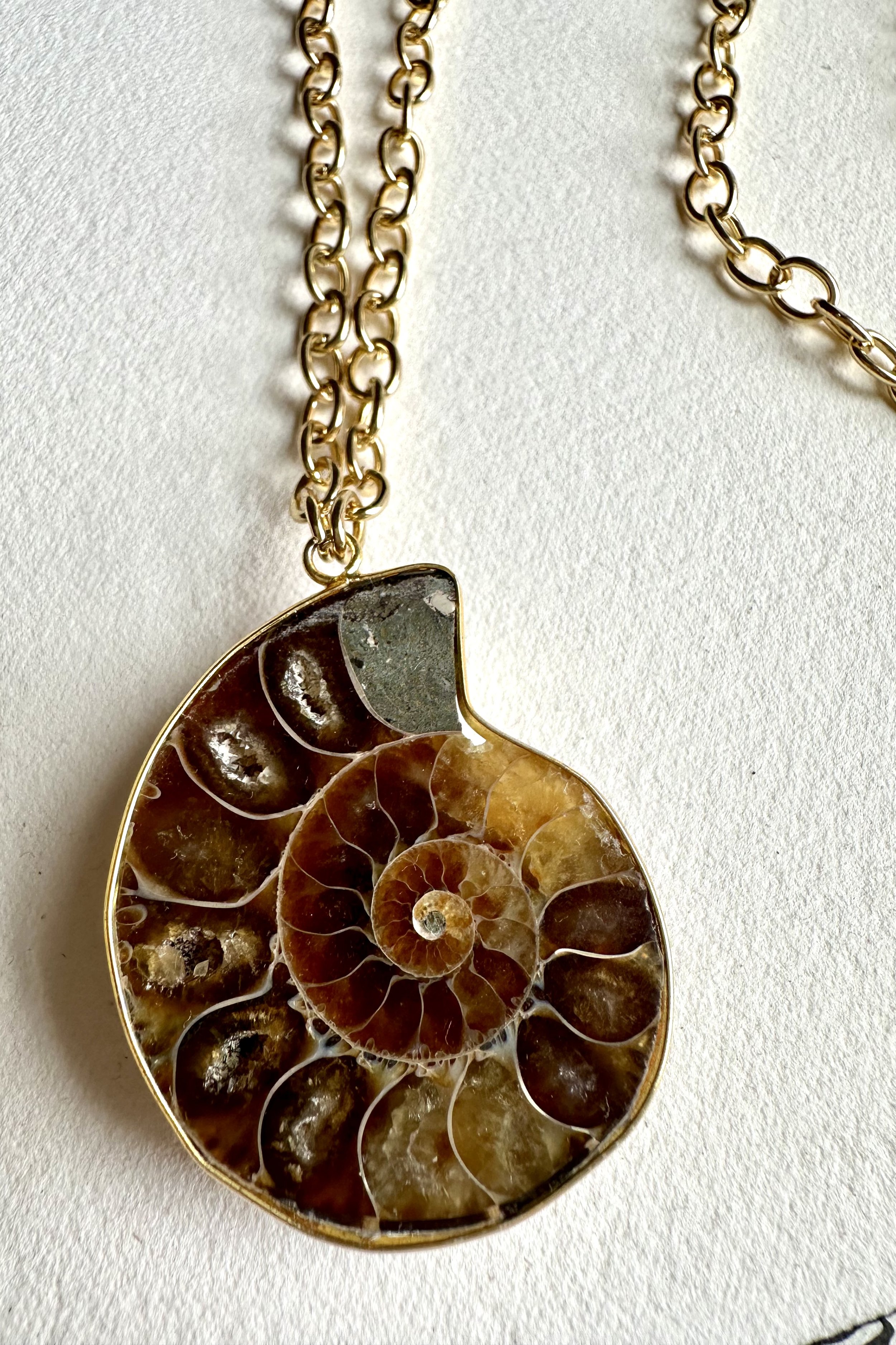 ammonite on bold gold chain