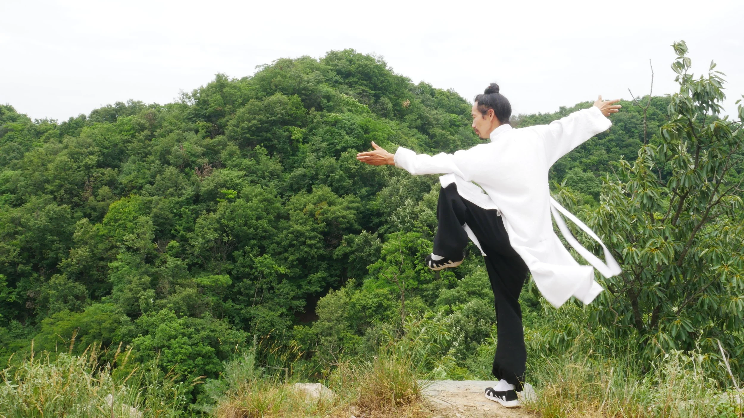Oakland Wudang Taiji Qigong workshops 2024