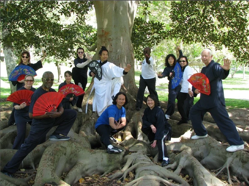 April 25 th 2009,World Tai Chi and Qigong Day