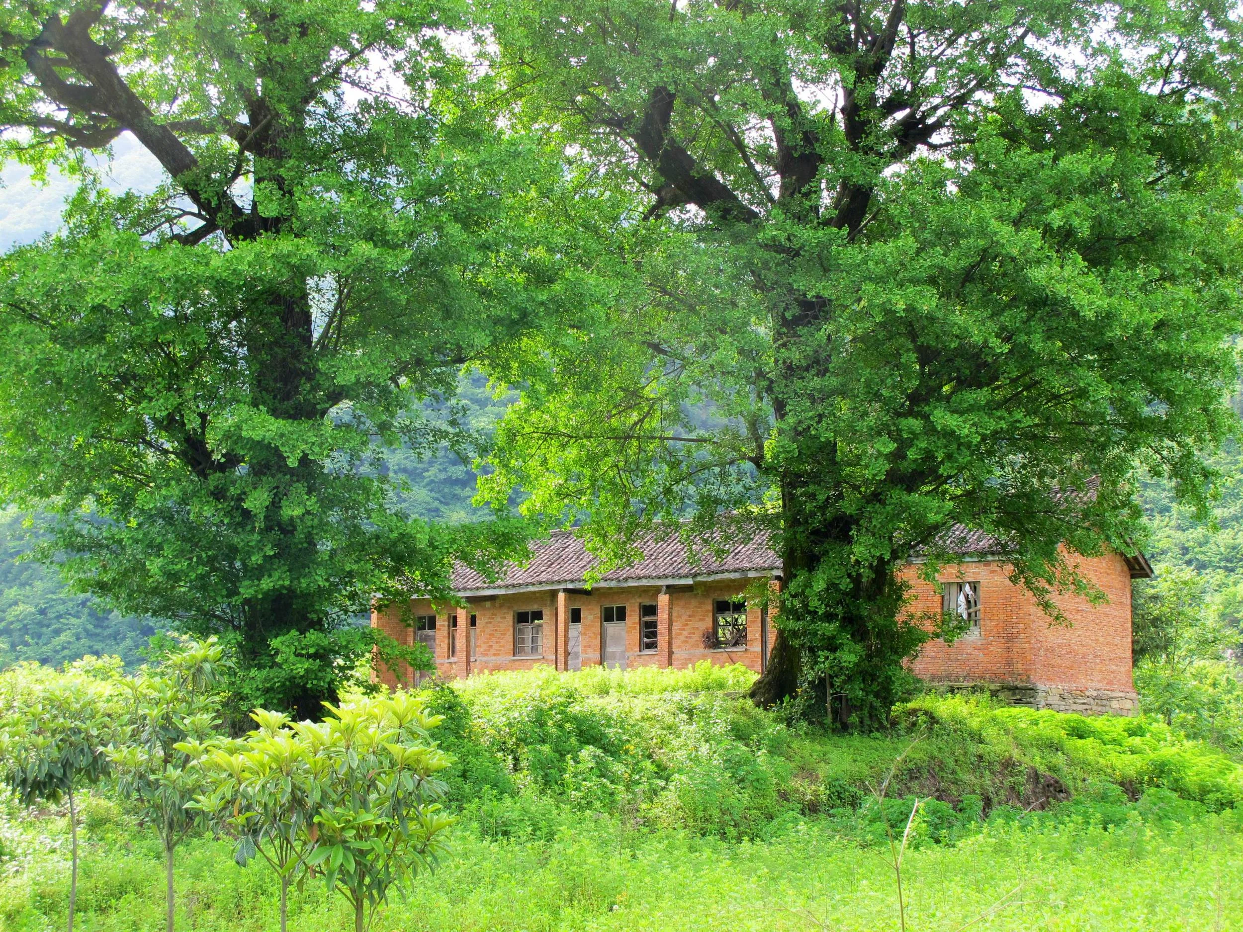 the little temple behind Wudang Golden Top Peak