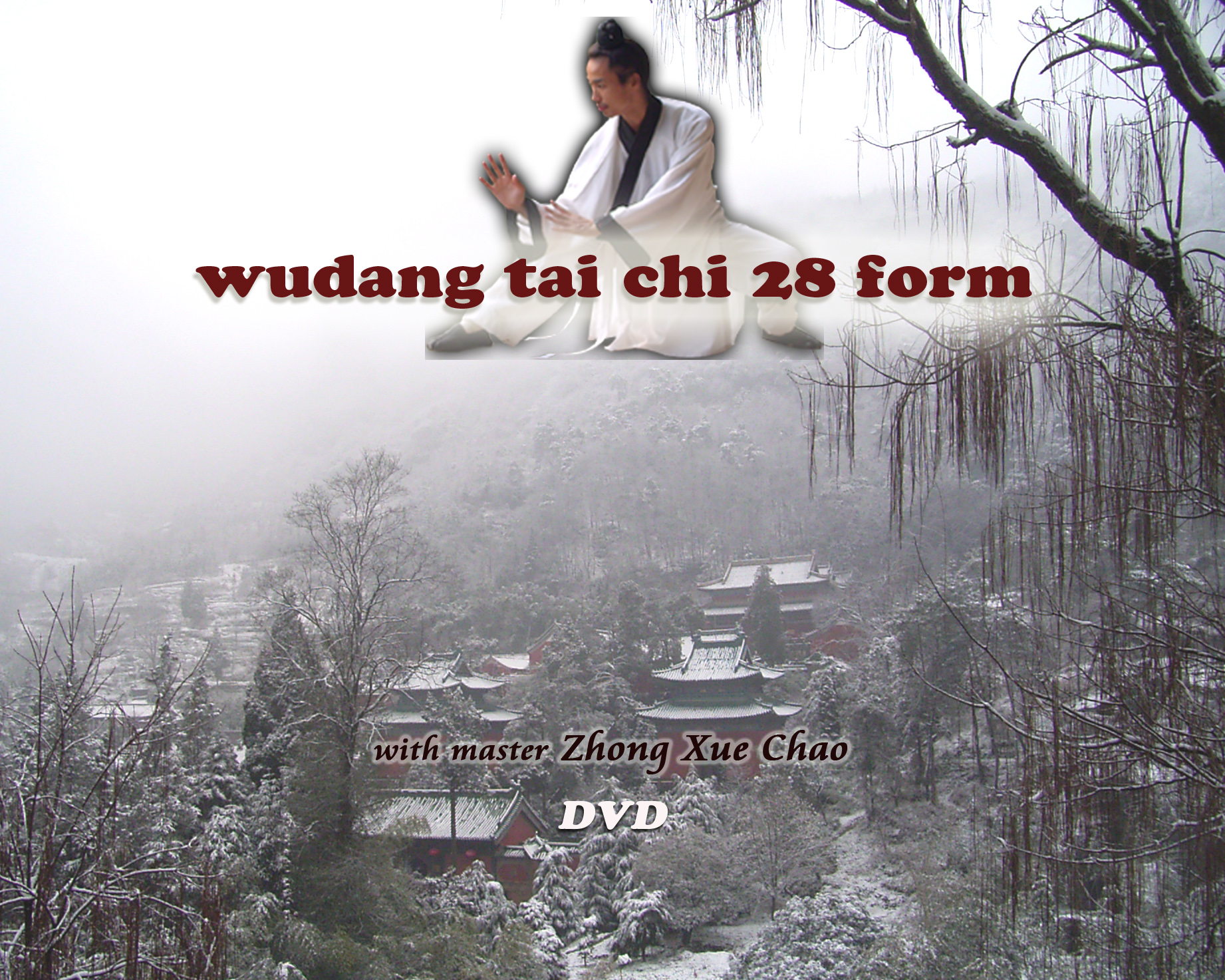 taichi 28.jpg