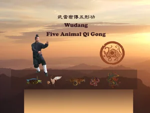 Wudang Five Animal Qigong DVD — WudangDao Cultural InstituteWudang  