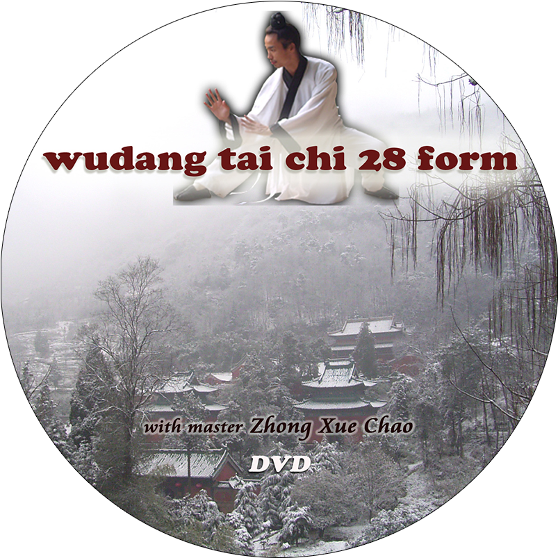 Tai Chi 28.png